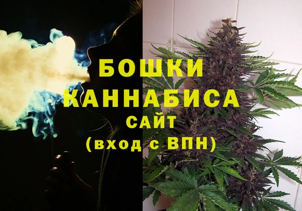 дмт Карпинск