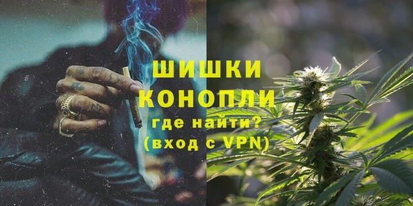 дмт Карпинск