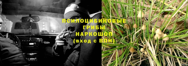дмт Карпинск