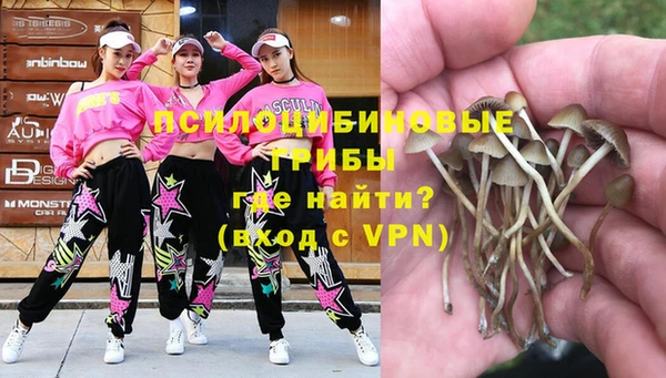 дмт Карпинск