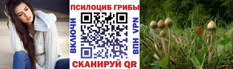 Купить где  Десногорск  Галлюциногенные грибы мухоморы 